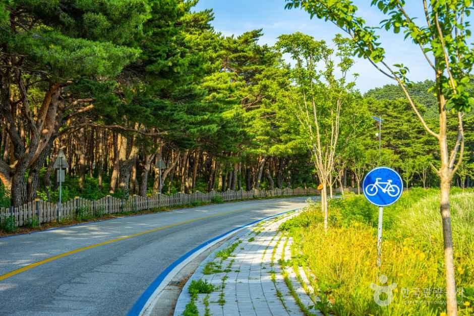 [해파랑길] 49코스 사진 2