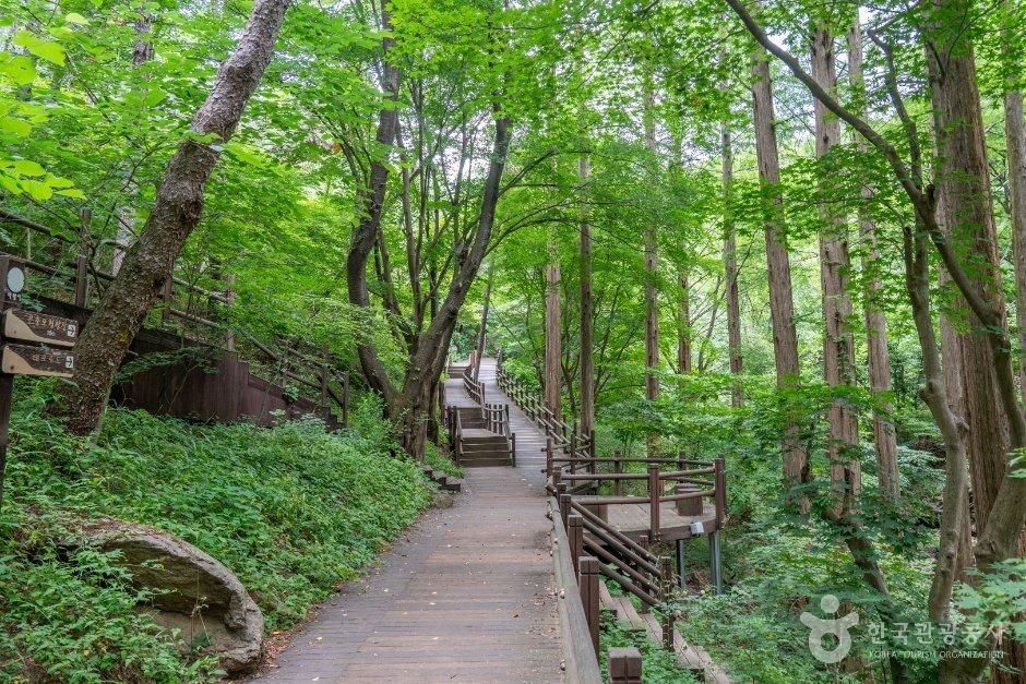 경기_의왕시_청계산맑은숲공원 (5).jpg