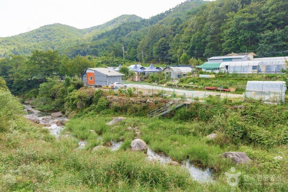 주문진 글램핑 오토캠핑장