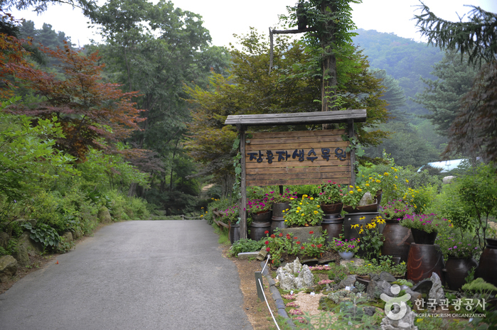 长兴自生树木园