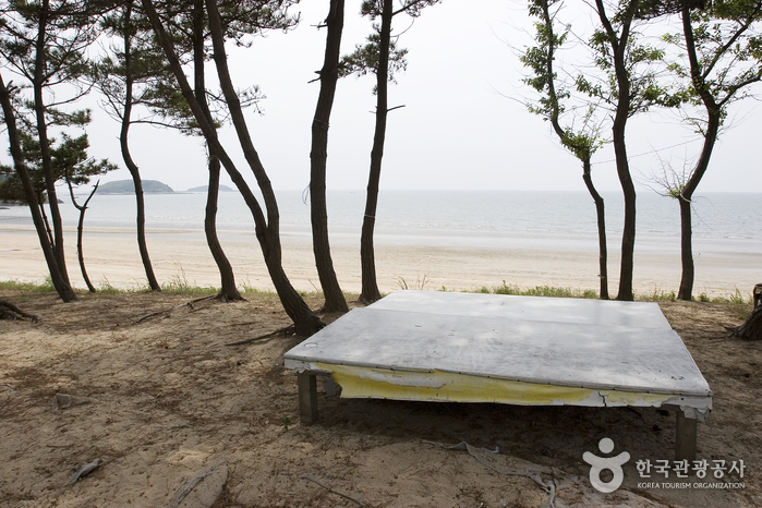 독산해수욕장(홀뫼해수욕장) 독산해수욕장(홀뫼해수욕장)