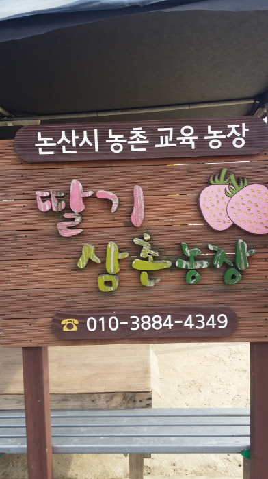 Nonsan Strawberry Uncle Farm