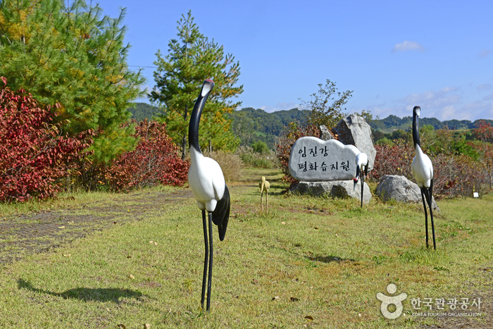 임진강평화습지원