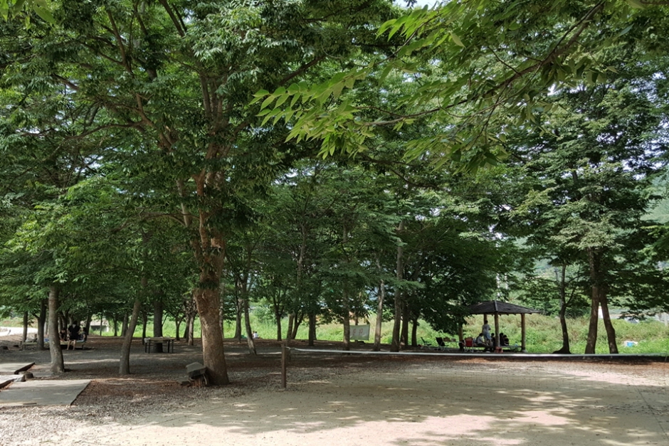 大徳の森遊園地