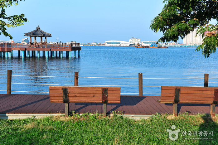 青草湖湖水公園（청초호 호수공원）- 韓国観光公社公式サイト
