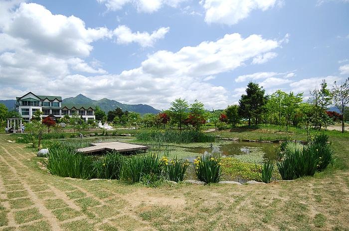 Yangpyeong Wild Flower Arboretum 1