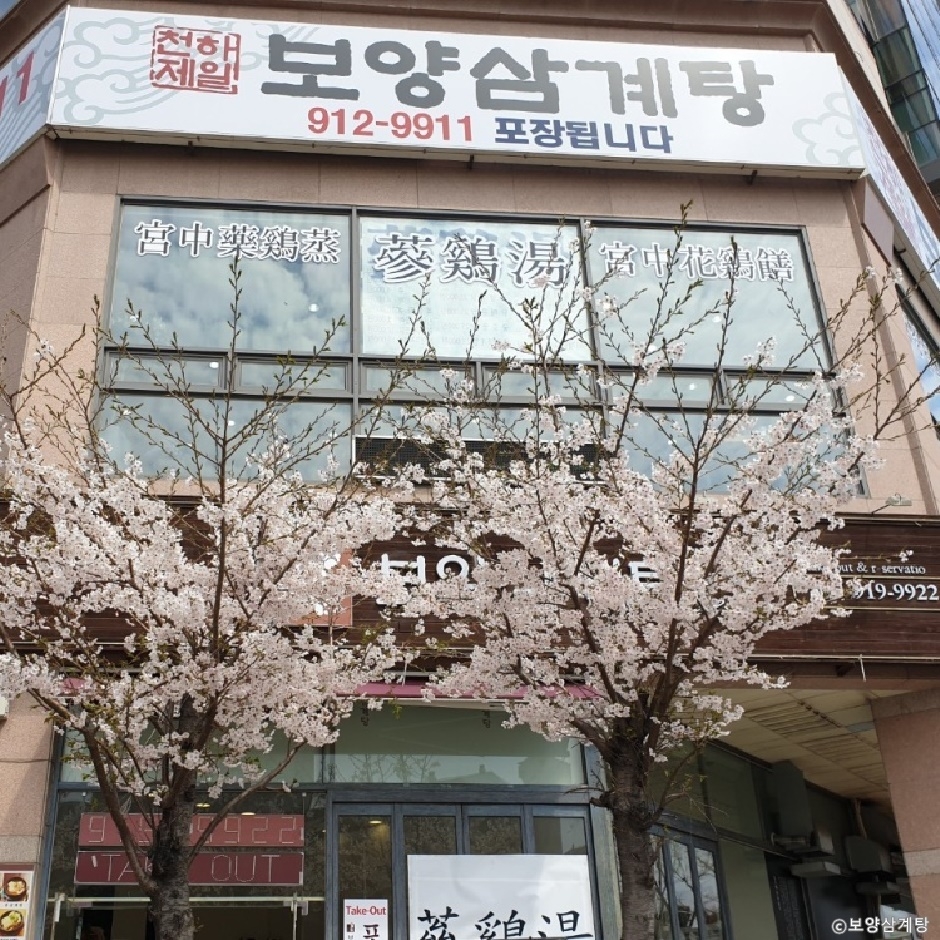 Boyang Samgyetang