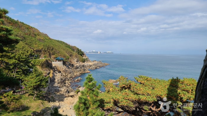 망상오토캠핑리조트 전경