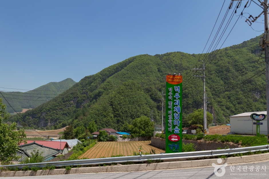 德雨里体验村