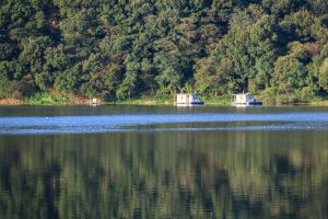 송전지 낚시터 사진 7