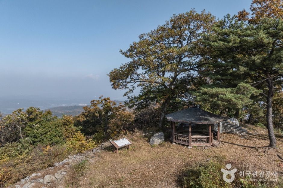 세종_금이성 (10)