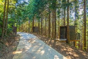 하동 편백자연휴양림