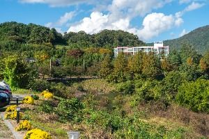 충주_충주호 종댕이길 (3) 미리보기