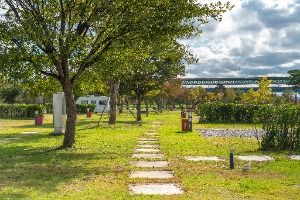 목계솔밭(충주)