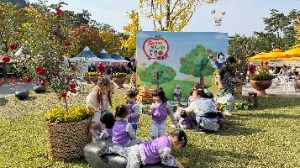 2025 홍천 사과축제 3