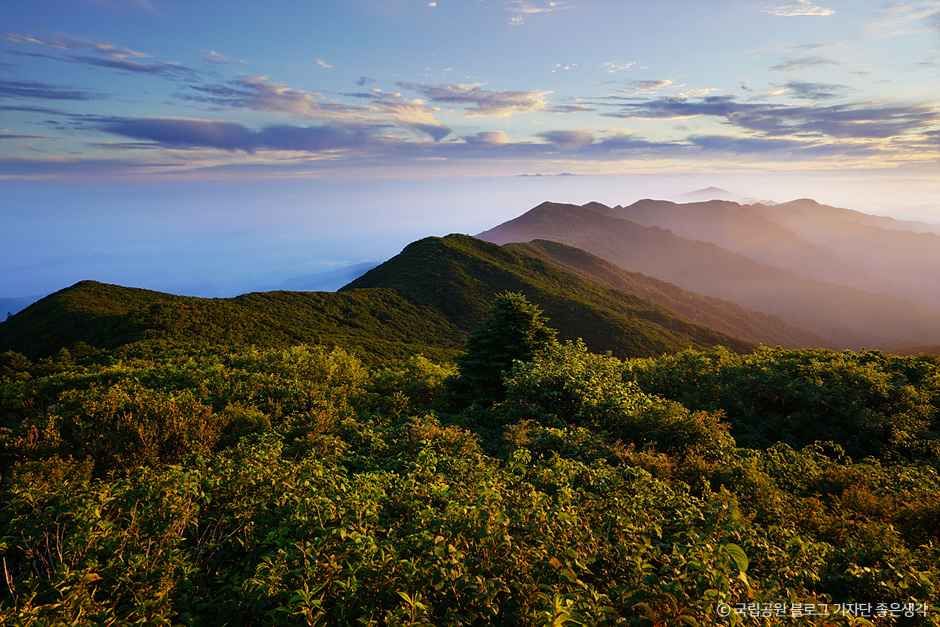 구례_지리산 만복대 (4).jpg