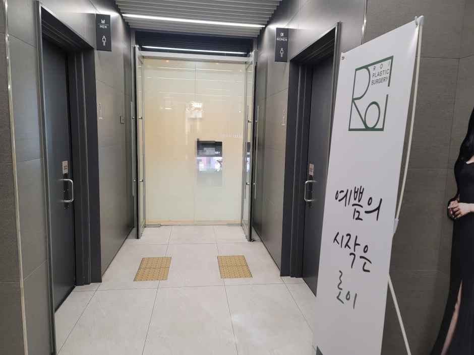 로이성형외과의원