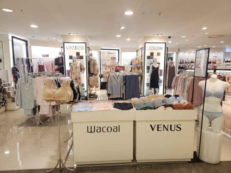 비너스&와코루 현대아울렛 가산점