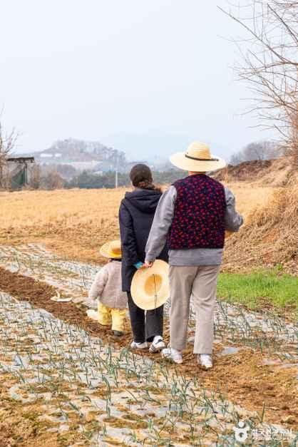 로렌츠감성치유시골체험