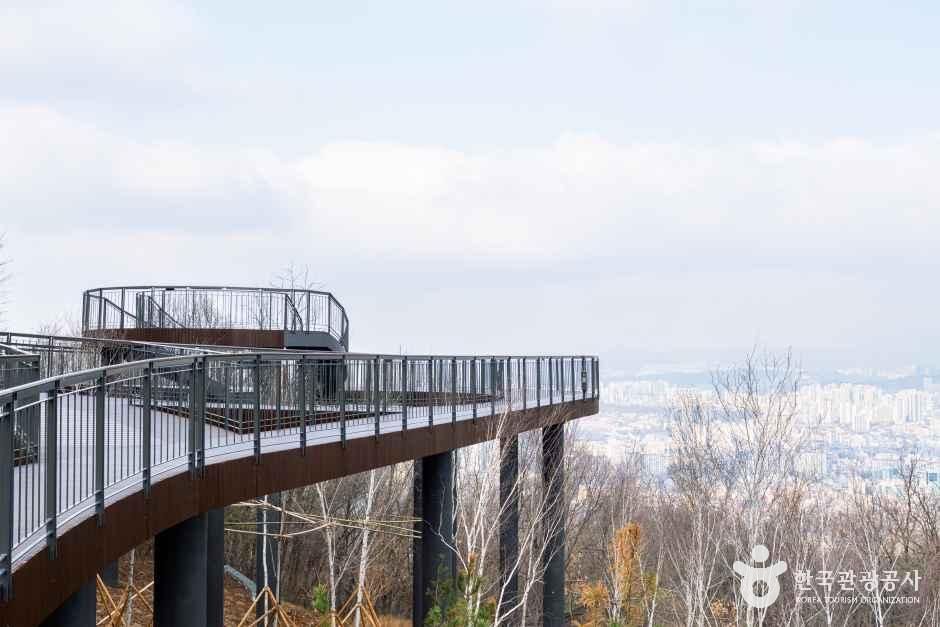 용마산 스카이워크