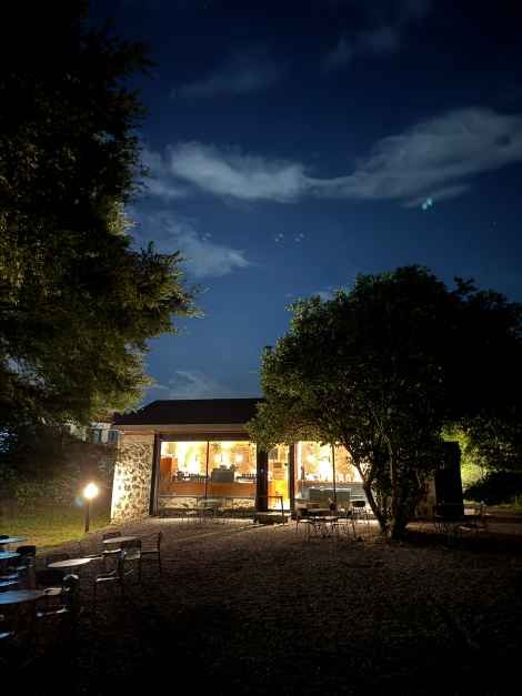 제주_커피템플 (1).JPG