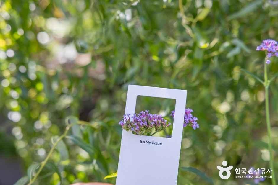 뚜띠콜로리 뮤제오