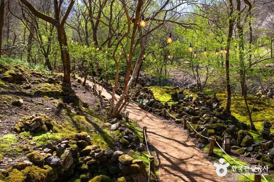 4058654 image2 1 예스키즈존 탐험대 : 실패 없는 육아여행