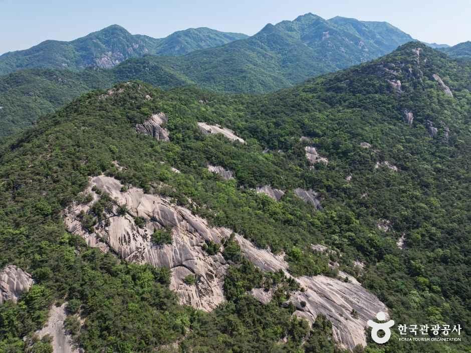작은동산