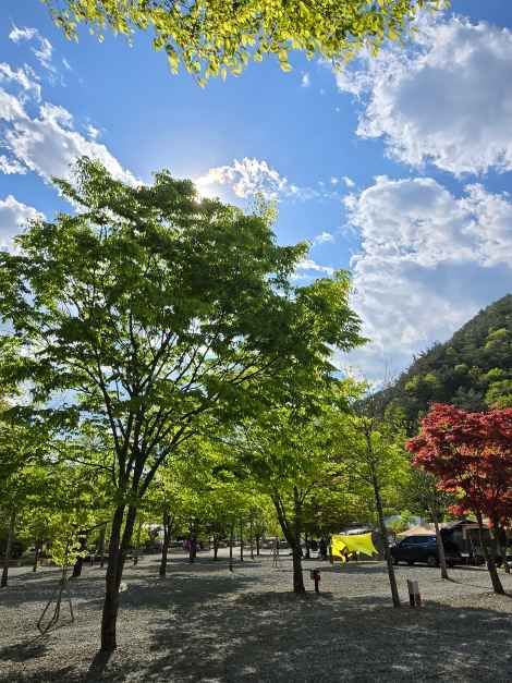 두산분교 캠핑장