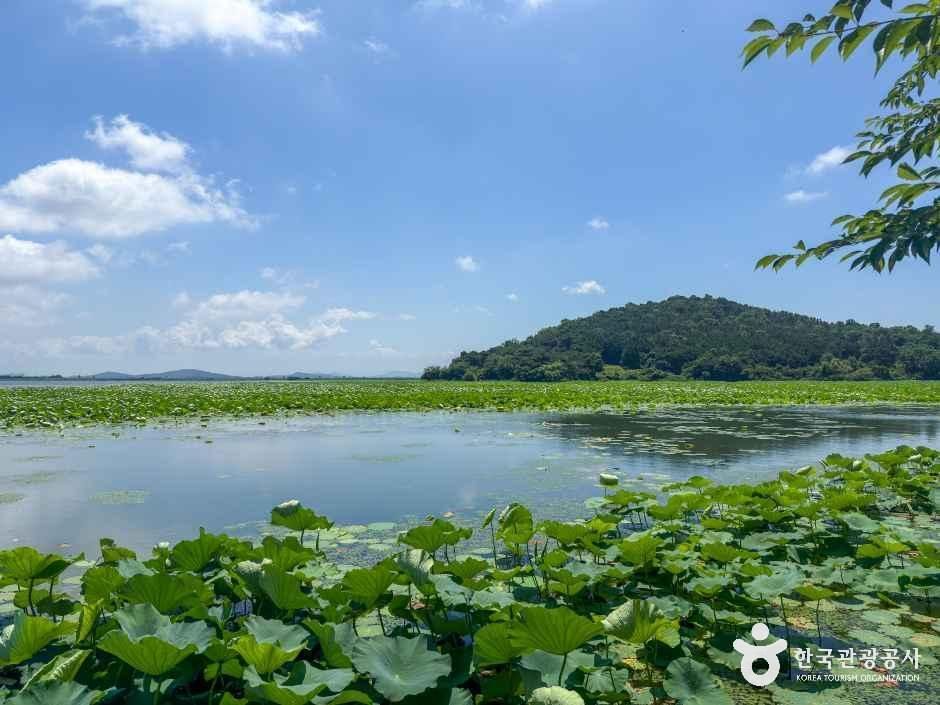 青湖水库