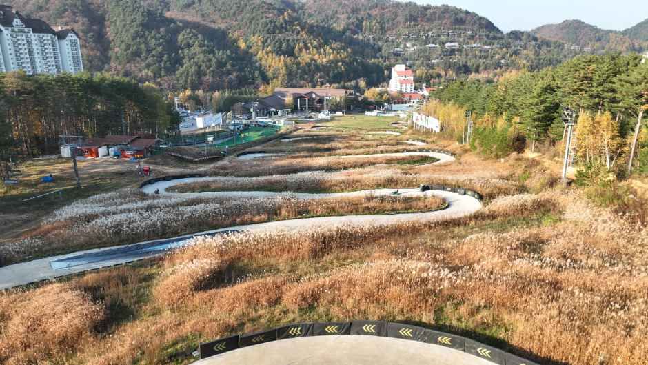 용평루지