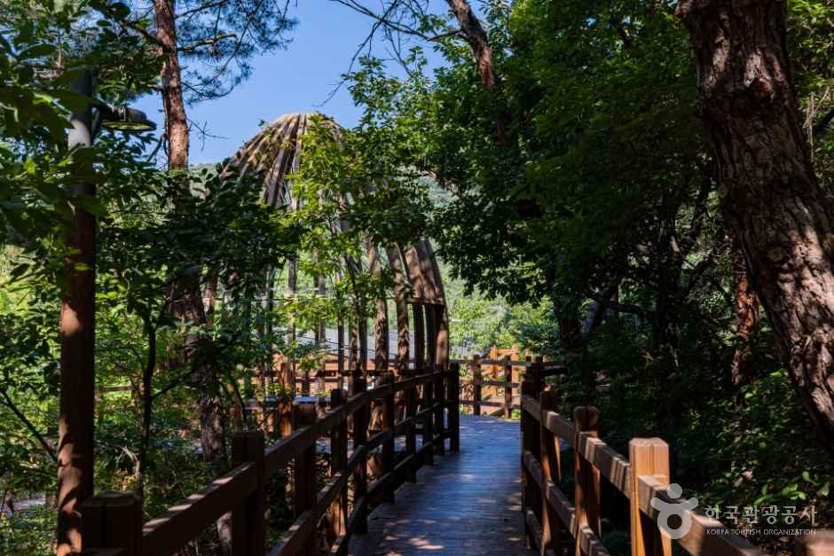 국립대전숲체원