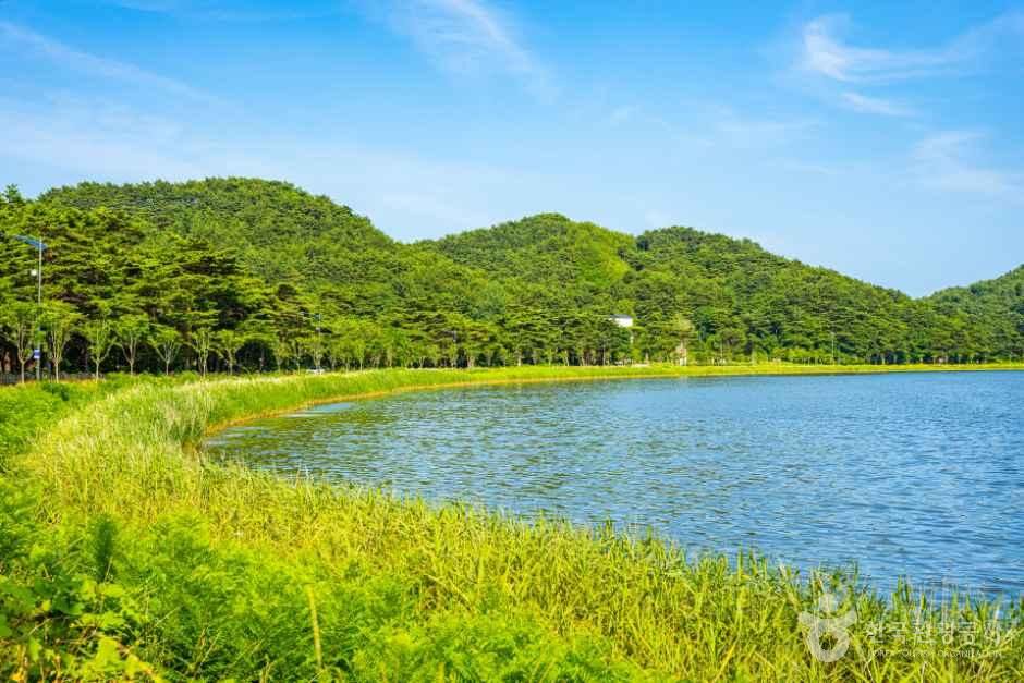 [해파랑길] 49코스 사진 3
