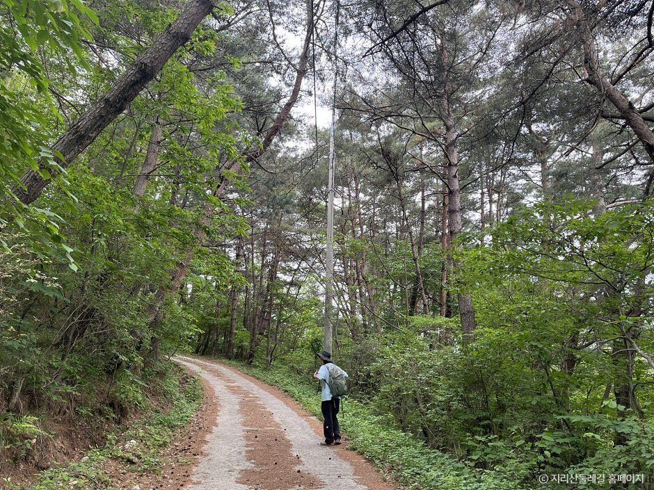 [지리산둘레길] 동강-수철