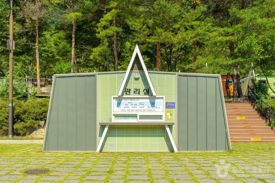 정선군생태체험학습장야영장