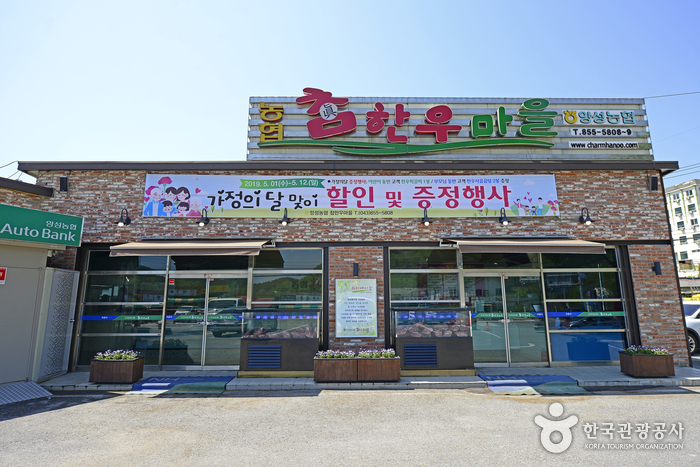 真韩牛村