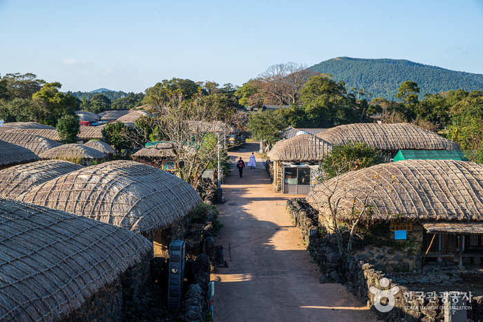 冬虫夏草〜済州島　民俗村〜 Amazon.co.jp: 韓国済州島民族村の冬虫夏草 200g : 食品・飲料