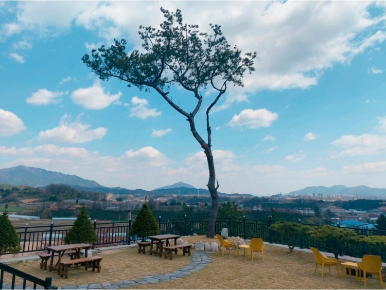 天空29