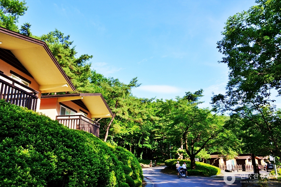 小仙岩自然休養林