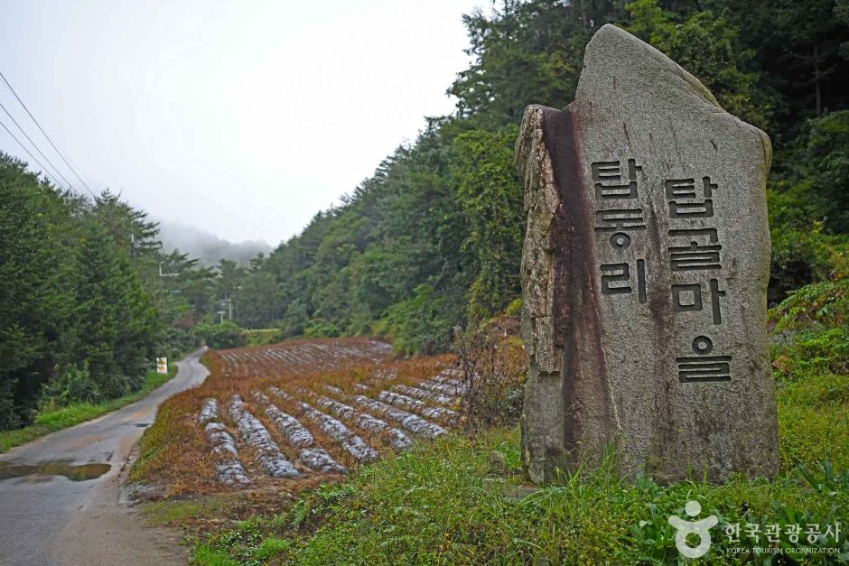 塔谷村