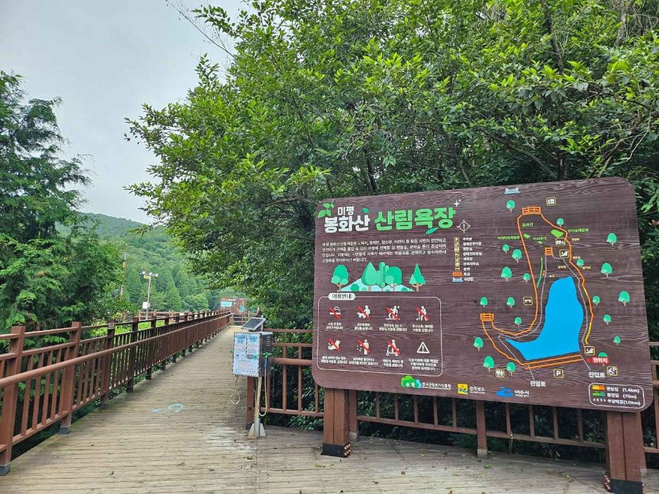 Mipyeong Bonghwasan Forest Bathing Area