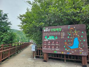 미평 봉화산 산림욕장