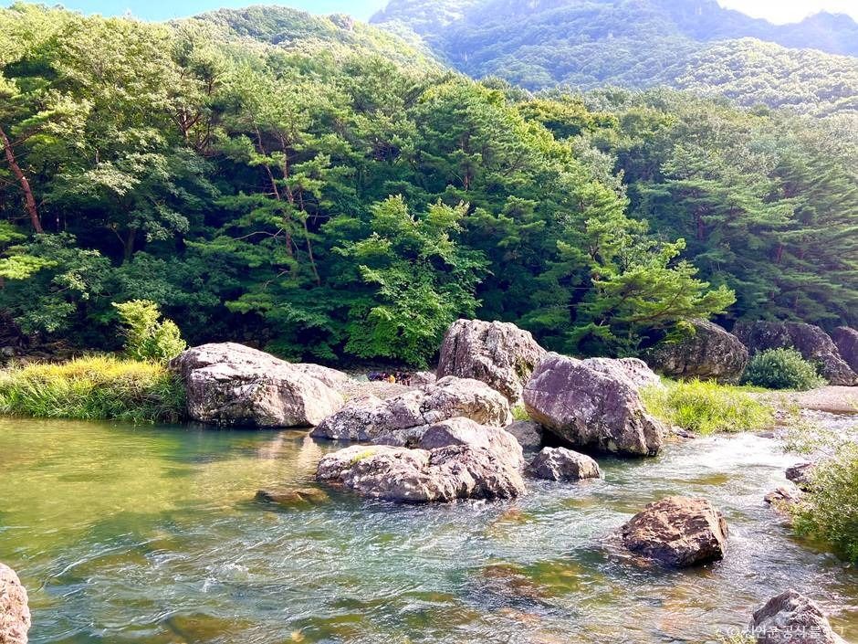 雲日岩・半日岩渓谷