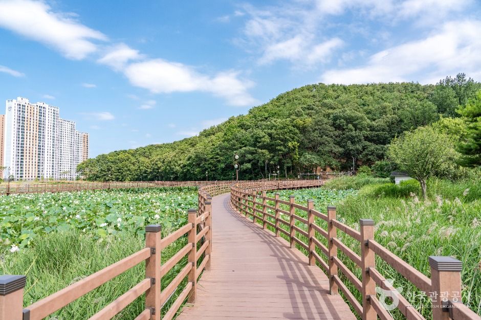 野城生態公園