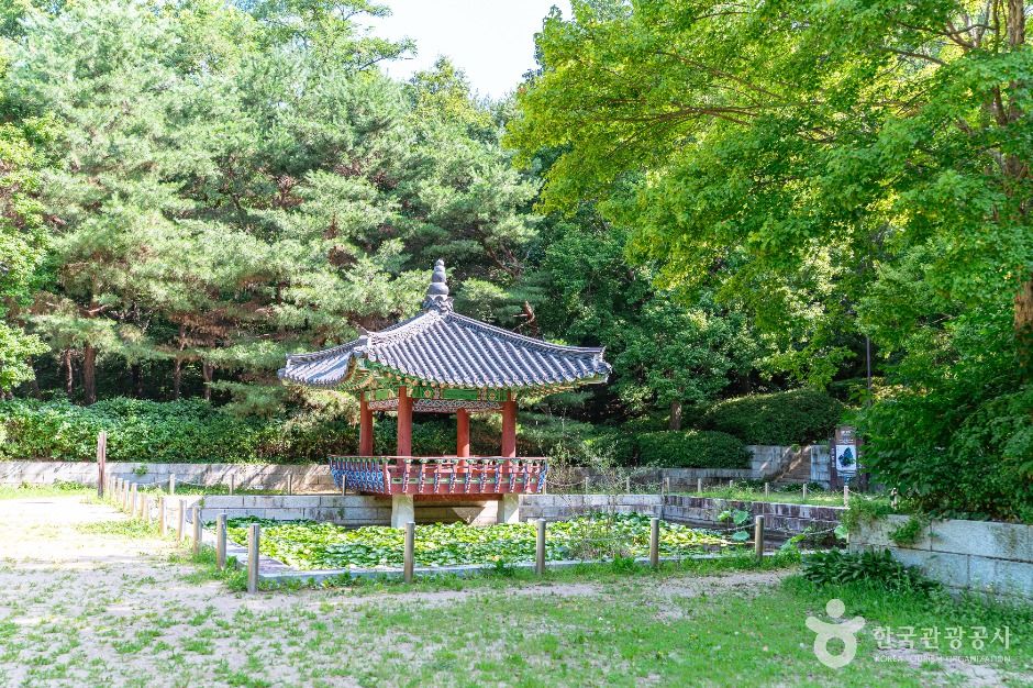 鼎发山公园