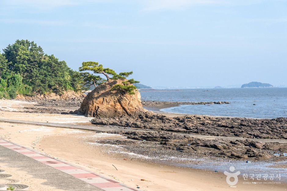 非仁海滩