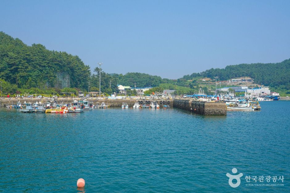 麦田浦港