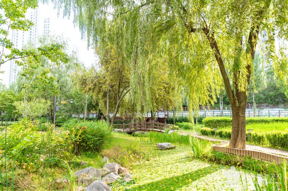 Gaebong Retention Basin Ecological Park