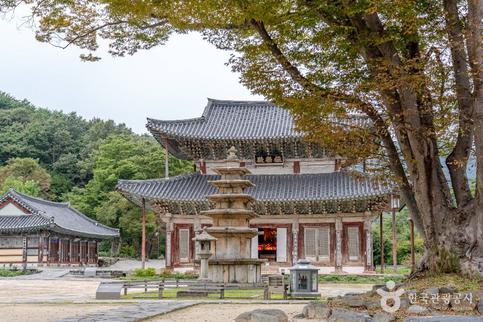 无量寺(扶余)