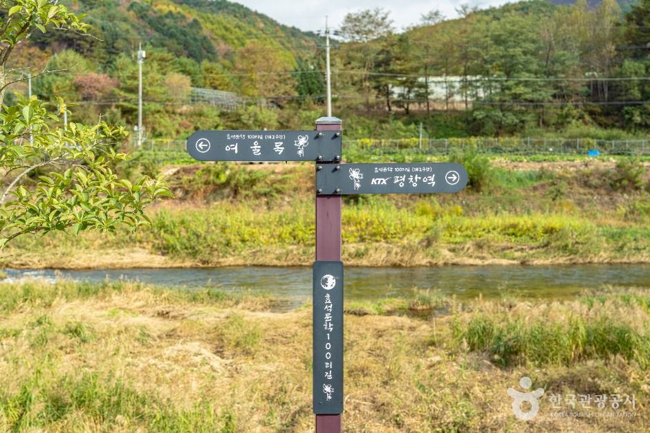 [孝石文学100里道 2コース] 大和市場への道